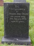 image of grave number 950219